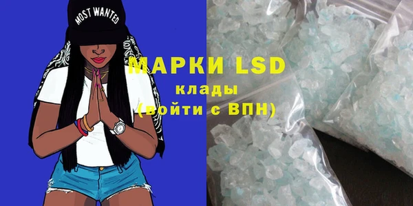 PSILOCYBIN Верея