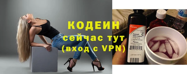 ГАЛЛЮЦИНОГЕННЫЕ ГРИБЫ Семёнов