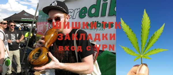 PSILOCYBIN Верея