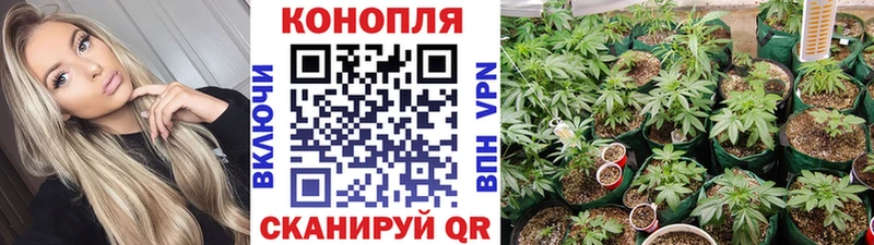 Шишки марихуана сатива  darknet состав  Всеволожск 